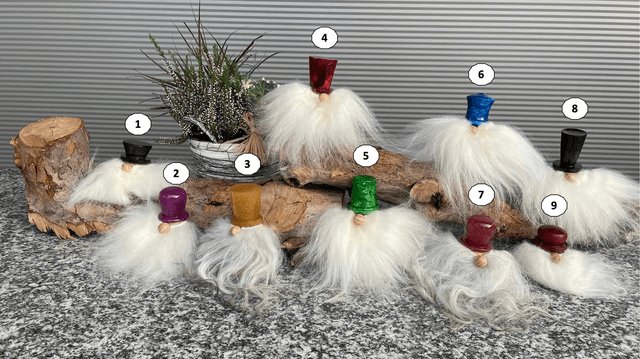 Gnomes Pop 2024